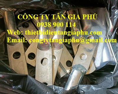 cose đồng 2 lỗ