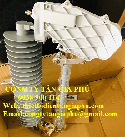 LBFCO 100A polymer 38kv