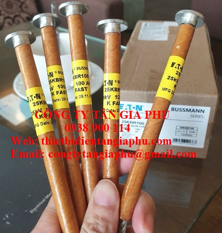 dây chì 24kv bussman