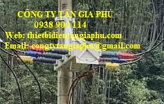 nắp chụp đầu sứ lbs