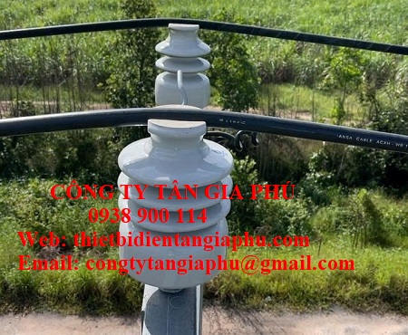 Sứ đứng cách điện 