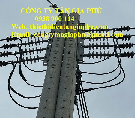 Sứ treo polymer 24KV - DTR